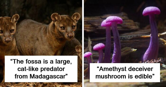 “Nature Is Weird”: 42 Interesting Pics And Facts About Mother Nature