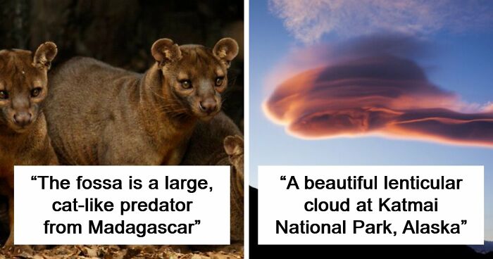 “Nature Is Weird”: 42 Interesting Pics And Facts About Mother Nature
