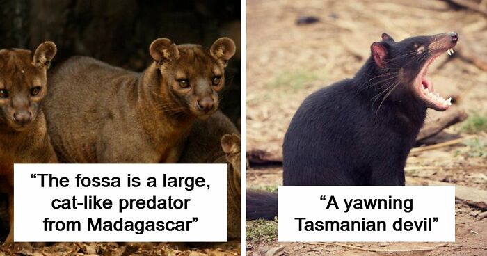 “Nature Is Weird”: 42 Interesting Pics And Facts About Mother Nature