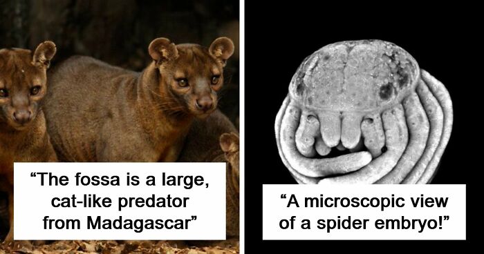 “Nature Is Weird”: 42 Interesting Pics And Facts About Mother Nature