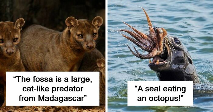 “Nature Is Weird”: 42 Interesting Pics And Facts About Mother Nature