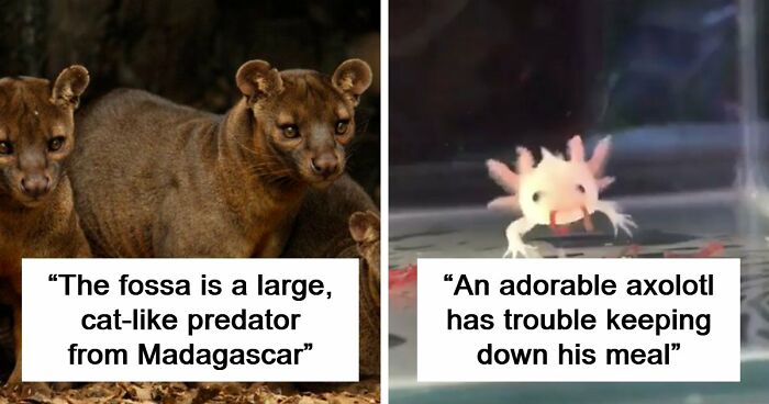 “Nature Is Weird”: 42 Interesting Pics And Facts About Mother Nature