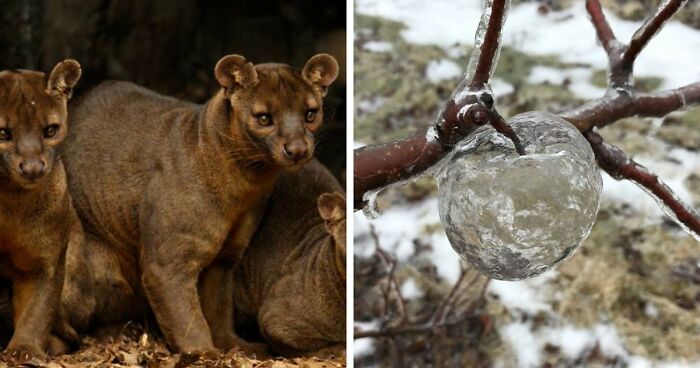 “Nature Is Weird”: 42 Interesting Pics And Facts About Mother Nature