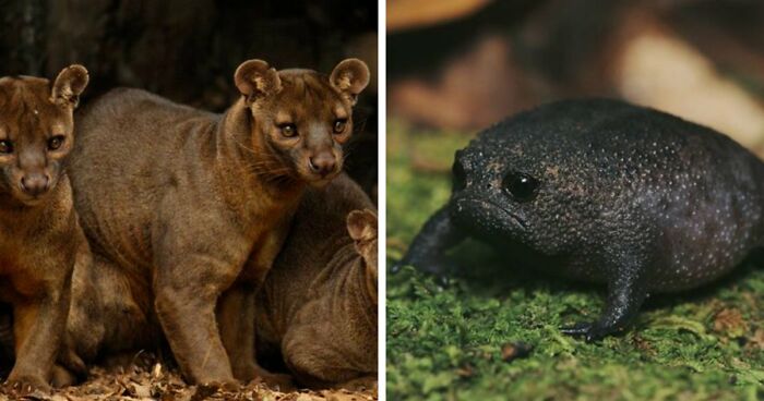 “Nature Is Weird”: 42 Interesting Pics And Facts About Mother Nature