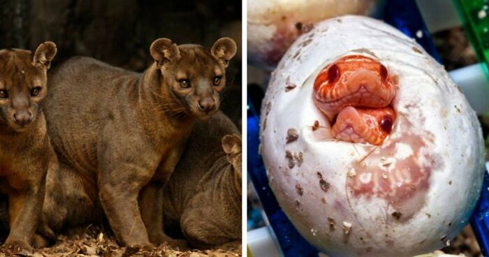 “Nature Is Weird”: 42 Interesting Pics And Facts About Mother Nature