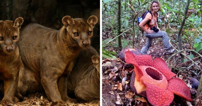 “Nature Is Weird”: 42 Interesting Pics And Facts About Mother Nature
