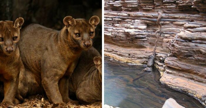 “Nature Is Weird”: 42 Interesting Pics And Facts About Mother Nature