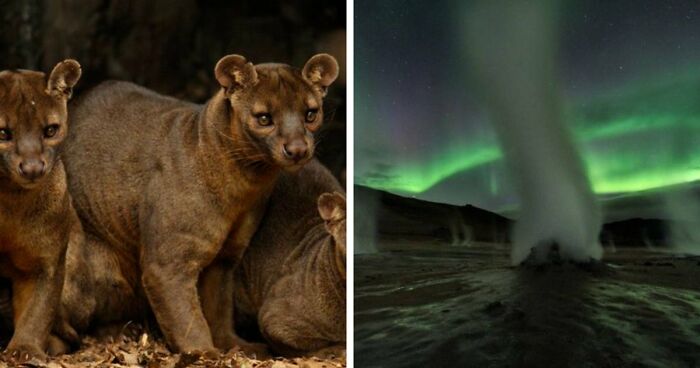 “Nature Is Weird”: 42 Interesting Pics And Facts About Mother Nature