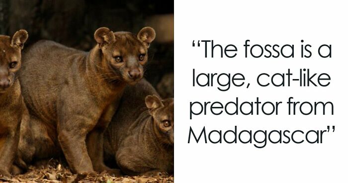 “Nature Is Weird”: 42 Interesting Pics And Facts About Mother Nature