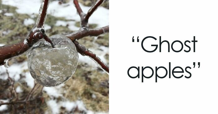 “Nature Is Weird”: 42 Interesting Pics And Facts About Mother Nature