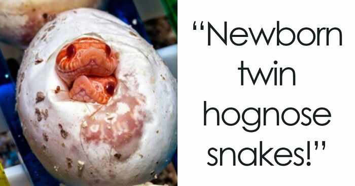 “Nature Is Weird”: 42 Interesting Pics And Facts About Mother Nature
