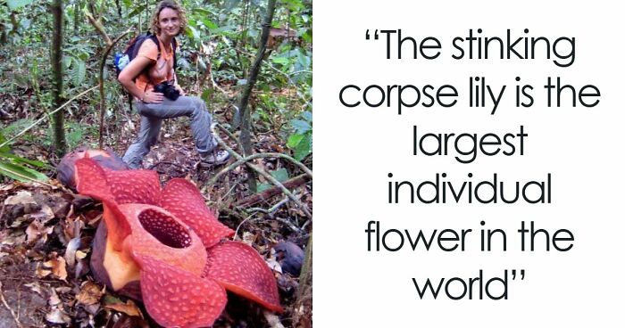 “Nature Is Weird”: 42 Interesting Pics And Facts About Mother Nature