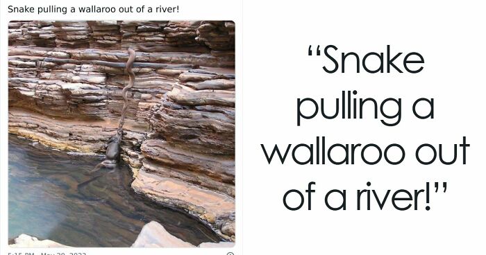 “Nature Is Weird”: 42 Interesting Pics And Facts About Mother Nature