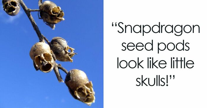 “Nature Is Weird”: 42 Interesting Pics And Facts About Mother Nature