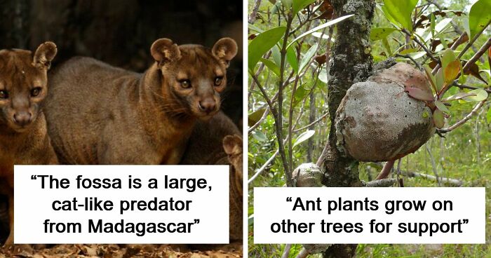 “Nature Is Weird”: 42 Interesting Pics And Facts About Mother Nature