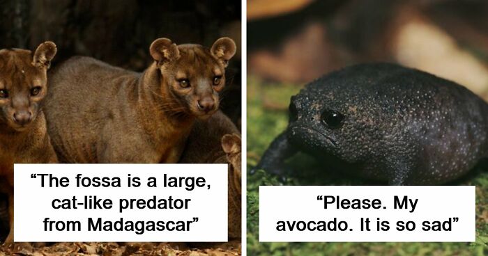 “Nature Is Weird”: 42 Interesting Pics And Facts About Mother Nature