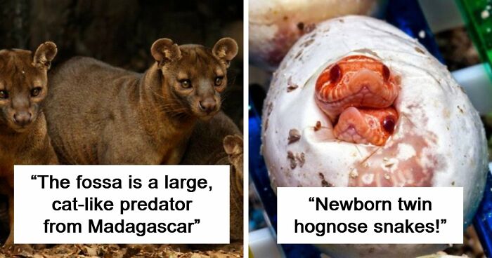 “Nature Is Weird”: 42 Interesting Pics And Facts About Mother Nature