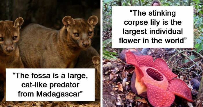 “Nature Is Weird”: 42 Interesting Pics And Facts About Mother Nature