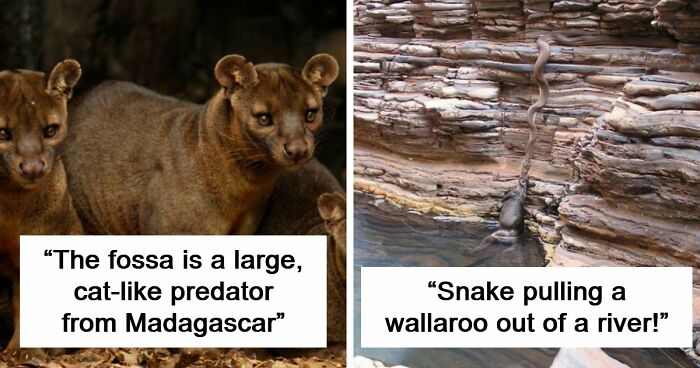 “Nature Is Weird”: 42 Interesting Pics And Facts About Mother Nature