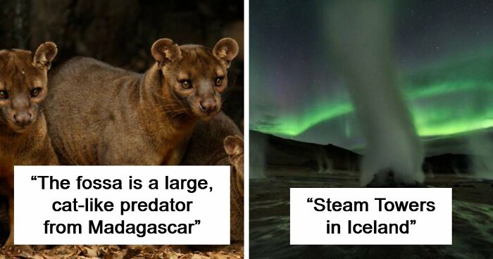 “Nature Is Weird”: 42 Interesting Pics And Facts About Mother Nature