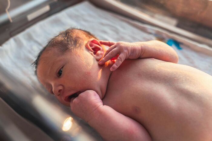 Newborn baby lying in hospital incubator