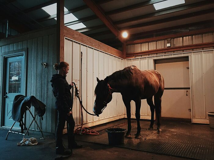 Person tending horse inside stable at dusk illustrating peace over paycheck choice
