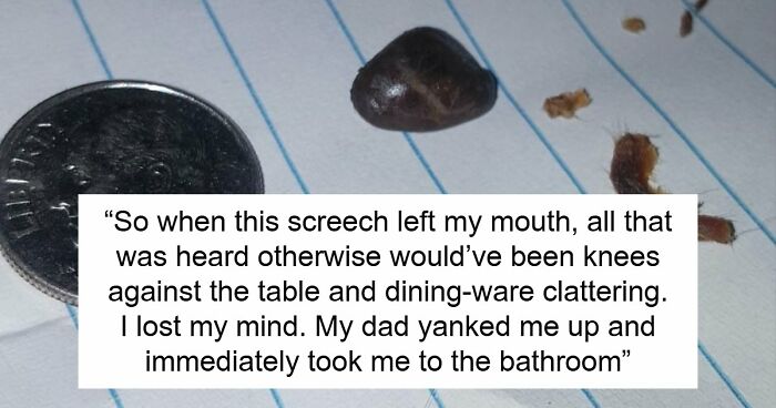 Man Spends 13 Years Digging For A Rock In His Year, Finally Pulls It Out After Decade-Long Struggle