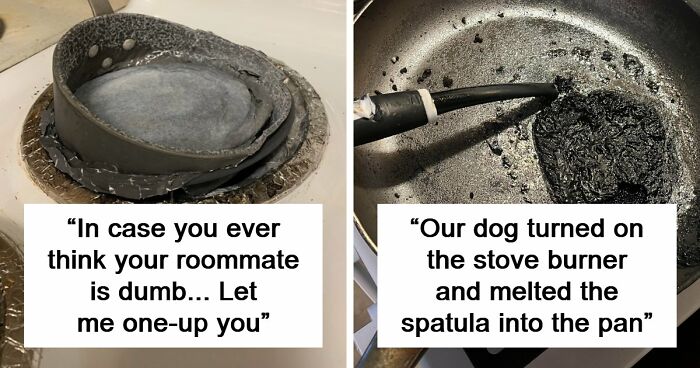 “I’m Never Going To Financially Recover From This”: 74 Kitchen Fails That Hurt To Look At (New Pics)