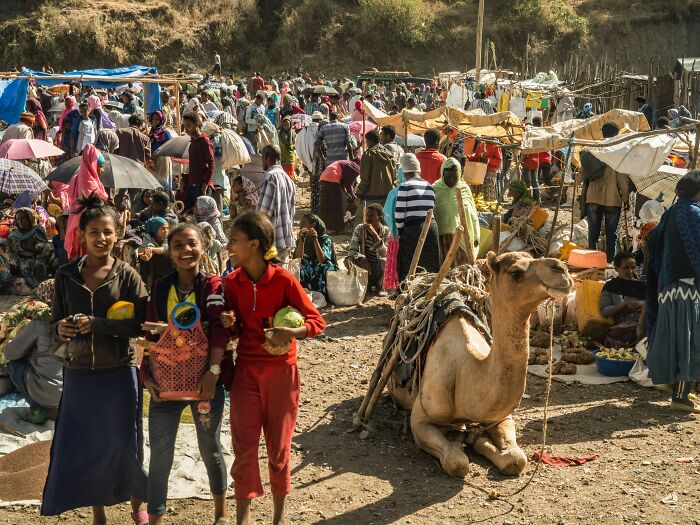 Busy outdoor market scene with children and a camel in geography facts context