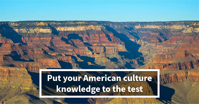 “Would You Pass This Everyday American Quiz?”: Try Acing These 20 Questions