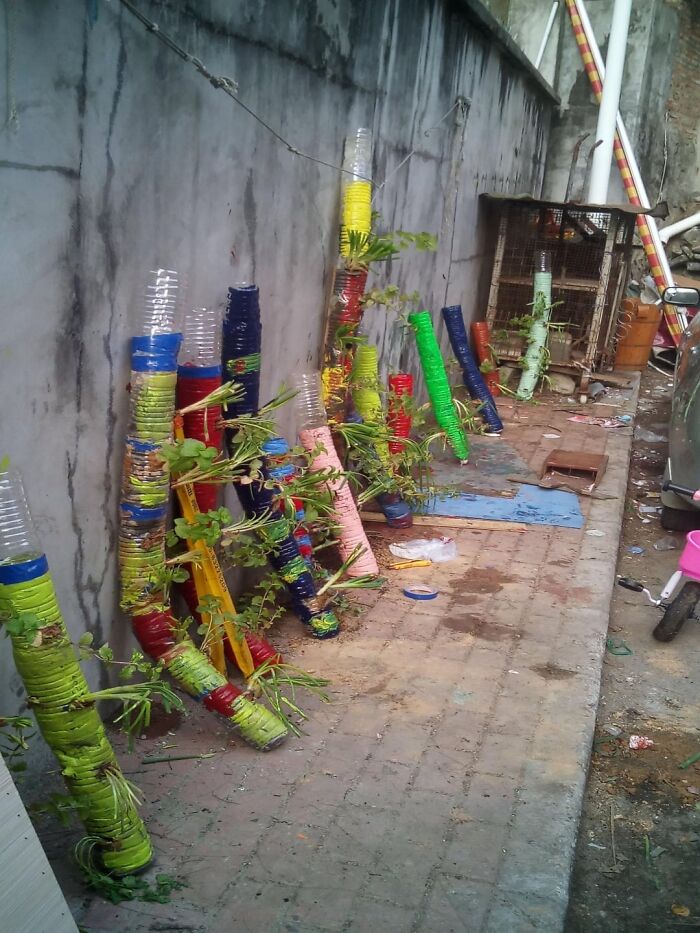 Vertical garden of plants in colorful plastic bottles installed on outdoor wall