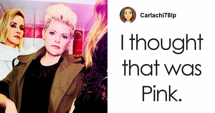 MAGA Supporters Unite To Troll ‘Dixie Chicks’ Star After Noticing Her Transformation