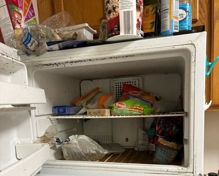 Eli5: Went On Vacation. Fridge Died While I Was Gone. Came Back To A Freezer Full Of Maggots. How Do Maggots Get Into A Place Like A Freezer That's Sealed Air Tight? 