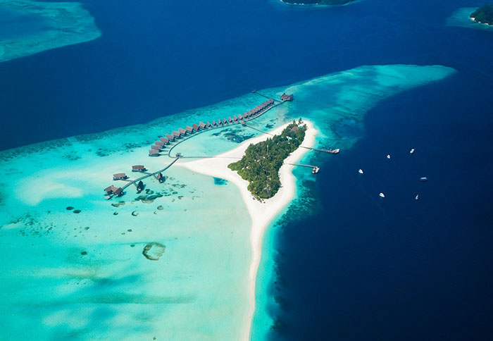 New Detail In Maldives Diving Tragedy Sparks Questions After Missing Tourists Found Inside “Shark Cave” New Detail In Maldives Diving Tragedy Sparks Questions After Missing Tourists Found Inside “Shark Cave”