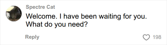 A comment from Spectre Cat saying, "Welcome. I have been waiting for you. What do you need?" This interaction could be a diagnosis changing everything for someone.