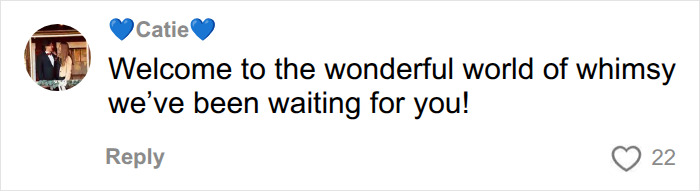 A comment from Catie, with a profile picture of a couple, says, Welcome to the wonderful world of whimsy we've been waiting for you! diagnosis changes everything.