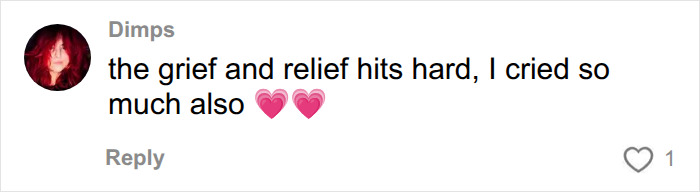 A comment from Dimps, expressing intense grief and relief, resonating with the struggle of living with something wrong.