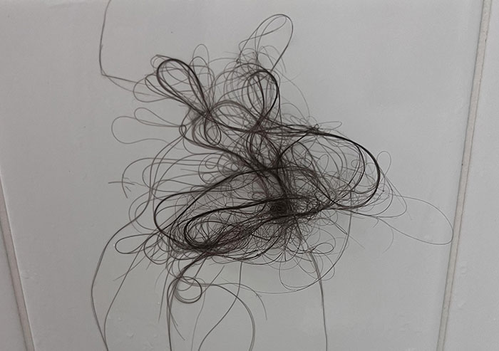 Guy Notices Random Hairs All Over His Home, Is Left Completely Baffled After Finding Out How They Got There