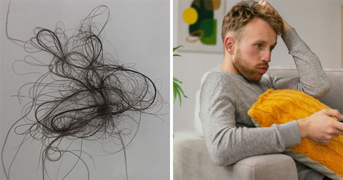 Guy Notices Random Hairs All Over His Home, Is Left Completely Baffled After Finding Out How They Got There