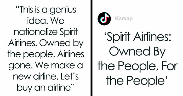 Man Posted A Joke About Buying Spirit Airlines, The Internet Raised $132M And Crashed His Site
