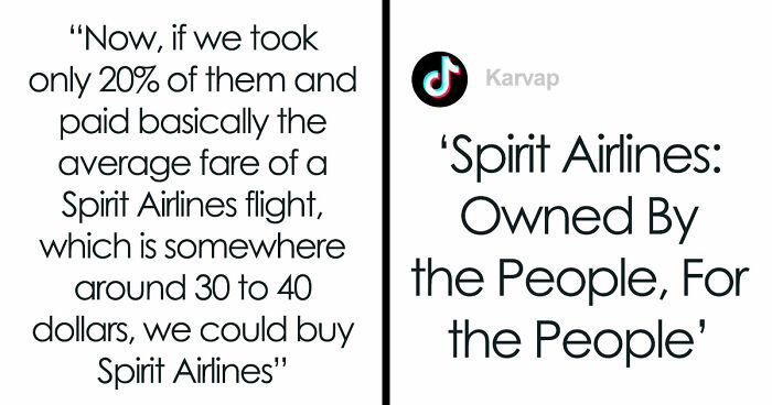 Man Posted A Joke About Buying Spirit Airlines, The Internet Raised $132M And Crashed His Site