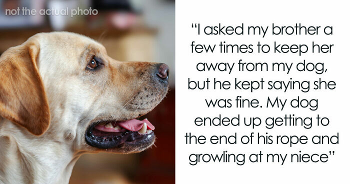 Man Refuses To Speak With Sister Until Her Dog Is Put Down: “Every Dog Has Its Limits”
