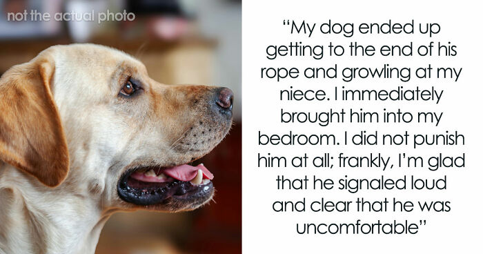 Man Refuses To Speak With Sister Until Her Dog Is Put Down: “Every Dog Has Its Limits”