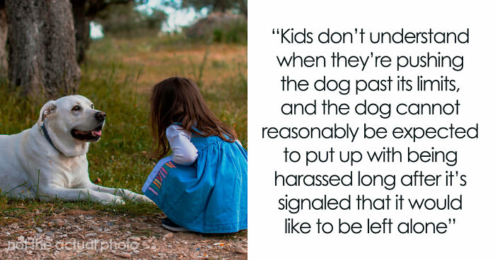 Man Refuses To Speak With Sister Until Her Dog Is Put Down: “Every Dog Has Its Limits”