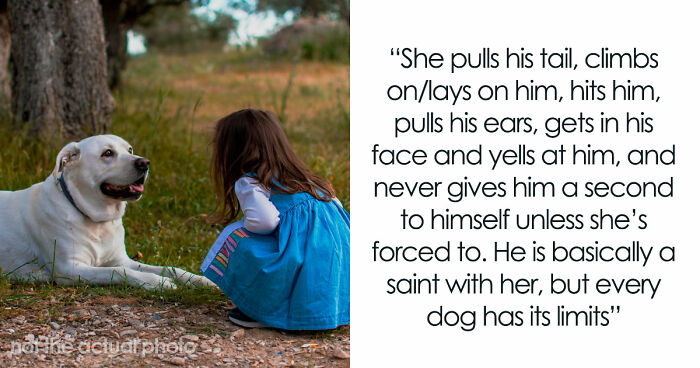 Man Refuses To Speak With Sister Until Her Dog Is Put Down: “Every Dog Has Its Limits”