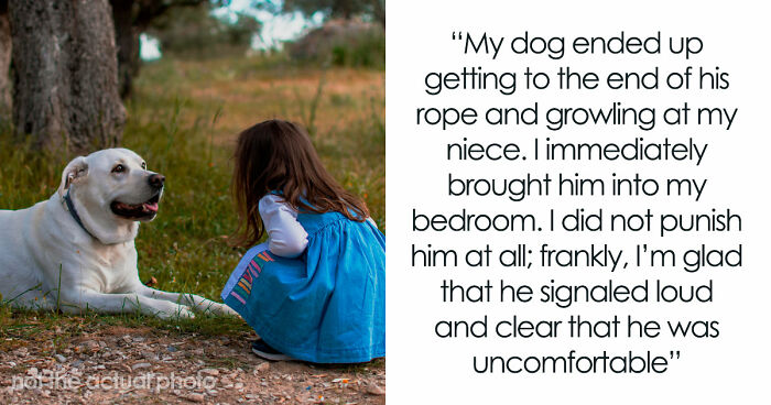 Man Refuses To Speak With Sister Until Her Dog Is Put Down: “Every Dog Has Its Limits”