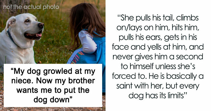 Man Refuses To Speak With Sister Until Her Dog Is Put Down: “Every Dog Has Its Limits”