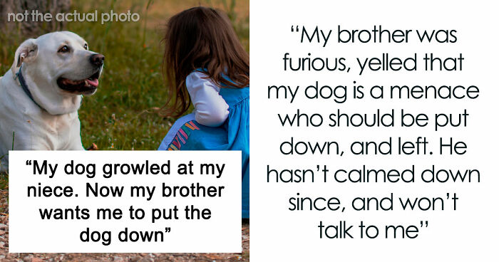 Man Refuses To Speak With Sister Until Her Dog Is Put Down: “Every Dog Has Its Limits”