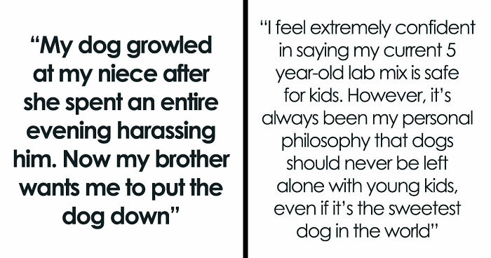 Man Refuses To Speak With Sister Until Her Dog Is Put Down: “Every Dog Has Its Limits”