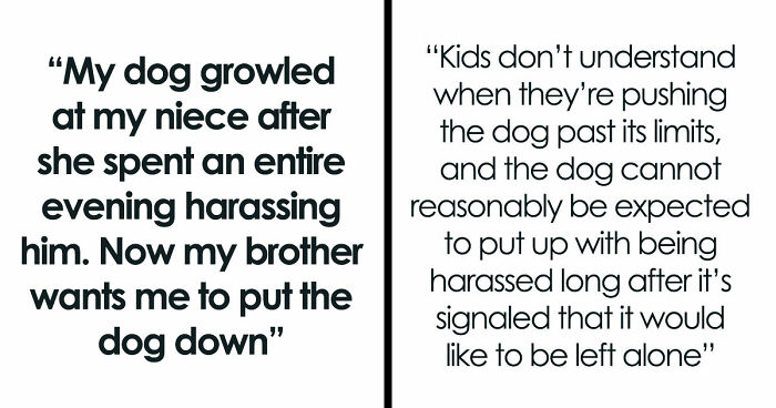 Man Refuses To Speak With Sister Until Her Dog Is Put Down: “Every Dog Has Its Limits”